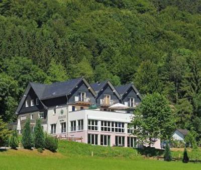 фото отеля Waldhotel Schinkenwirt Olsberg