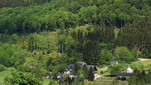 фото отеля Waldhotel Schinkenwirt Olsberg