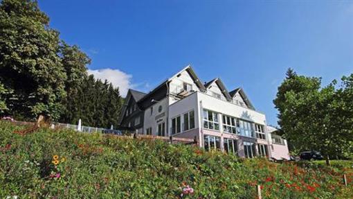 фото отеля Waldhotel Schinkenwirt Olsberg