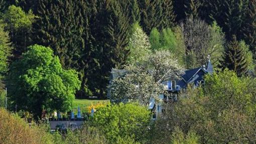 фото отеля Waldhotel Schinkenwirt Olsberg