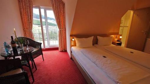 фото отеля Waldhotel Schinkenwirt Olsberg