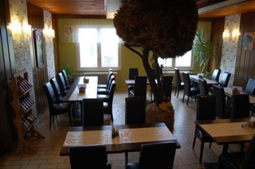 фото отеля Hotel Vrchovina