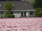 фото отеля Duinpark De Witte Raaf