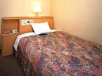Himeji Castle Grandvrio Hotel
