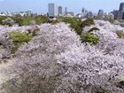 фото отеля Hotel Monterey La Soeur Fukuoka