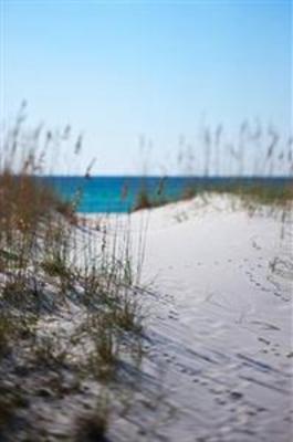 фото отеля Four Points by Sheraton Destin- Ft Walton Beach