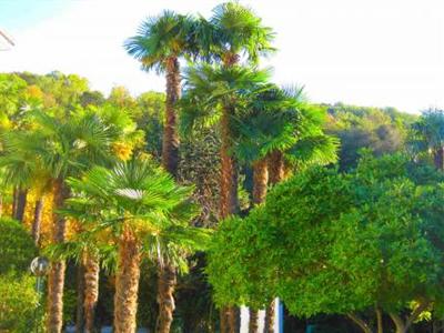 фото отеля Albergo Gardenia