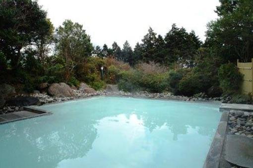 фото отеля Hakone Yunohana Onsen Hotel