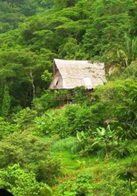 фото отеля Finca Exotica