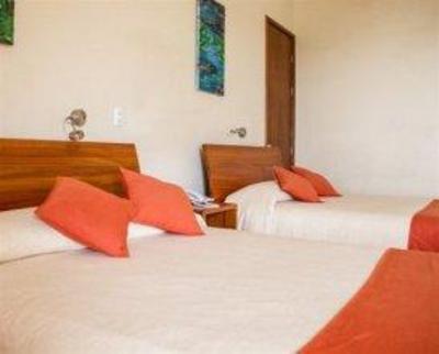 фото отеля Finch Bay Eco Hotel
