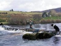 Skeabost Country House Hotel Isle of Skye