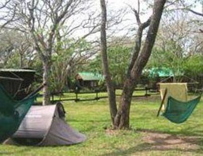 фото отеля Isinkwe Backpackers Bushcamp