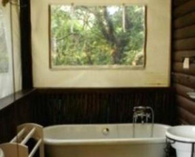 фото отеля Isinkwe Backpackers Bushcamp