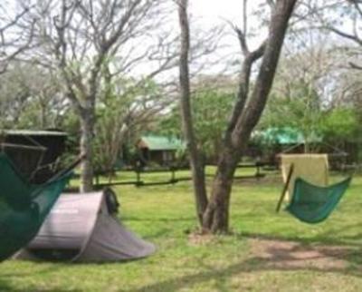фото отеля Isinkwe Backpackers Bushcamp