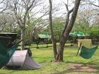 фото отеля Isinkwe Backpackers Bushcamp