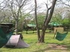 фото отеля Isinkwe Backpackers Bushcamp