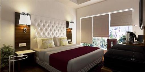 фото отеля Hotel Ivory 32