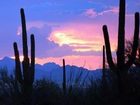 фото отеля Embassy Suites Hotel Phoenix Biltmore