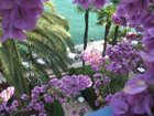 фото отеля Hotel Monte Baldo e Villa Acquarone