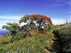 фото отеля Blue Beach Hotel la Reunion