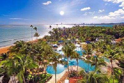 фото отеля Rio Mar Beach Resort & Spa, a Wyndham Grand Resort