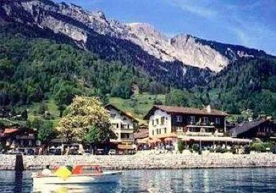 фото отеля Hotel Brienzerburli And Lowen