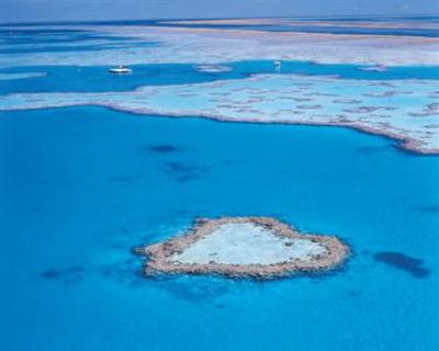 фото отеля Hayman Island Resort