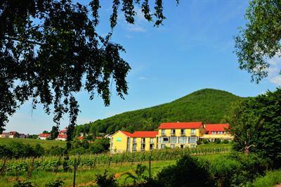 фото отеля Wohlfühlhotel Alte Rebschule Rhodt unter Rietburg