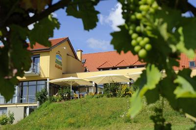фото отеля Wohlfühlhotel Alte Rebschule Rhodt unter Rietburg