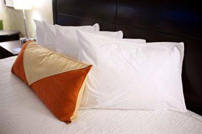 фото отеля Hilton Garden Inn Nashville Cool Springs Franklin (Tennessee)