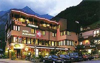 фото отеля Hotel Fluelerhof