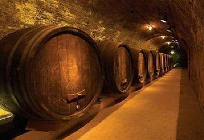 фото отеля Wine & Spa Resort Loisium Langenlois