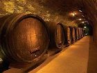 фото отеля Wine & Spa Resort Loisium Langenlois