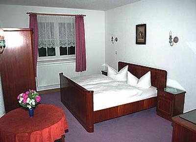 фото отеля Hotel Dietrichsmühle Crottendorf