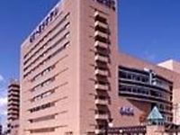 Meitetsu Toyota Hotel