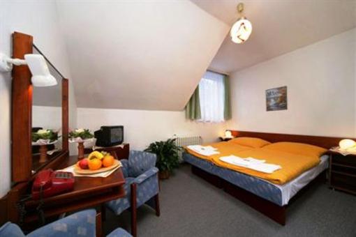 фото отеля Hotel Albis Vrchlabi