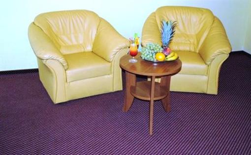 фото отеля Hotel Stary Mlyn Sedziszow Malopolski