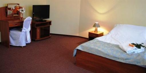 фото отеля Hotel Stary Mlyn Sedziszow Malopolski