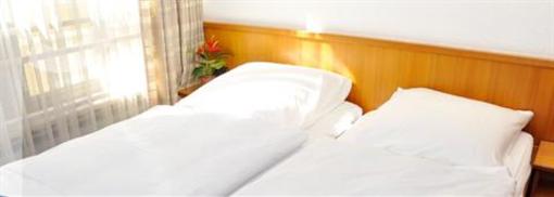 фото отеля Hotel Poseidon Bayreuth
