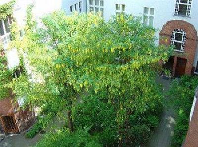 фото отеля Hotel Kurfurst