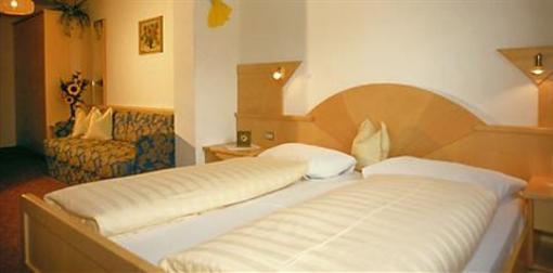 фото отеля Hotel Gisserhof