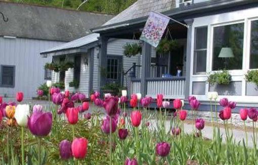 фото отеля Andrie Rose Inn