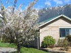 фото отеля Rainforest Motel Fox Glacier