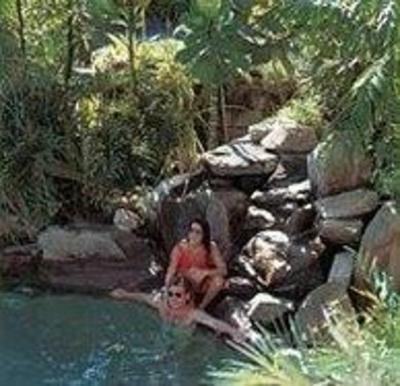 фото отеля Cairns Tropical Gardens Motel