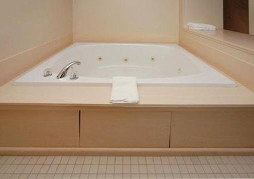 фото отеля Comfort Inn Chelsea (Michigan)