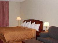Comfort Inn Chelsea (Michigan)