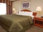 фото отеля Comfort Inn Chelsea (Michigan)