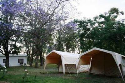 фото отеля The AardVark Guesthouse and Backpackers