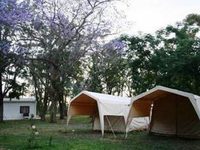 The AardVark Guesthouse and Backpackers