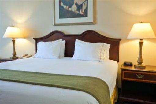 фото отеля Holiday Inn Express Hotel & Suites Dothan North